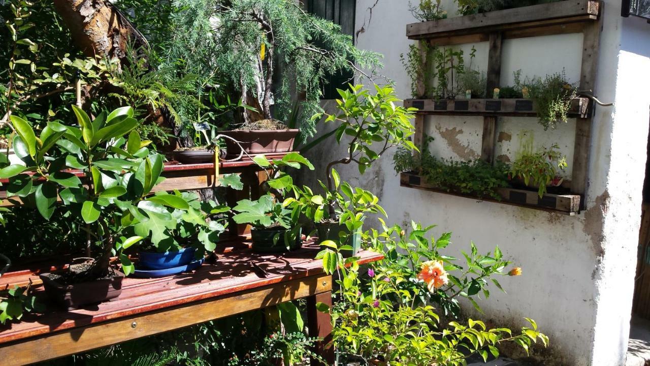Casa Coimbra Otel Dış mekan fotoğraf