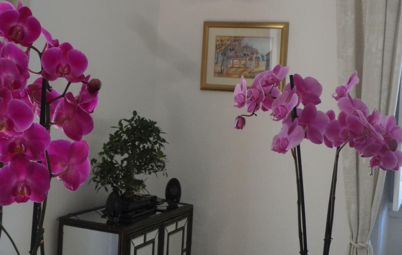 Casa Coimbra Otel Dış mekan fotoğraf