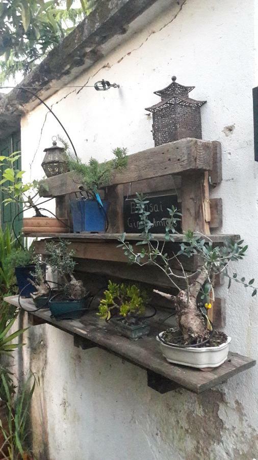 Casa Coimbra Otel Dış mekan fotoğraf